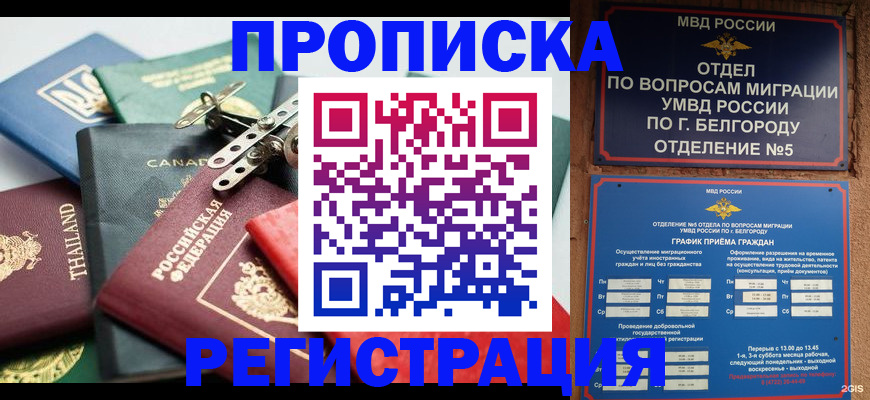 временная регистрация недорого в Борзе